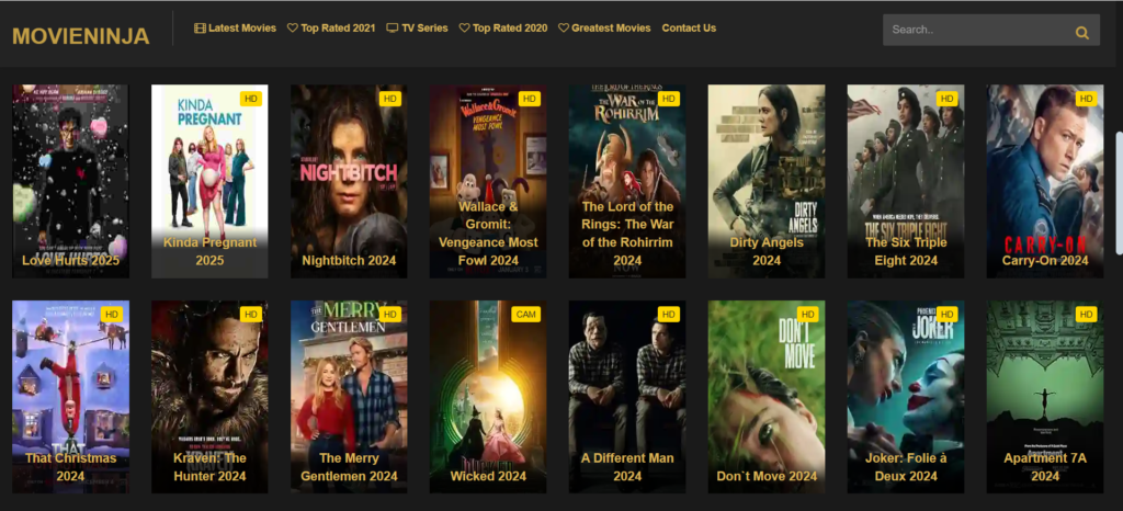 MovieNinja | 1MoviesHD Alternatives: 29 Best Free Streaming Sites in 2025 | VPNSociety